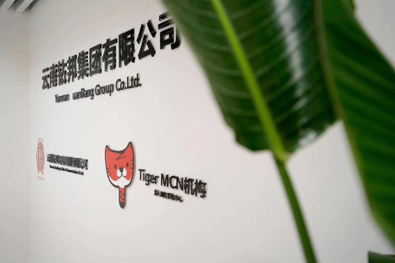 企业风采